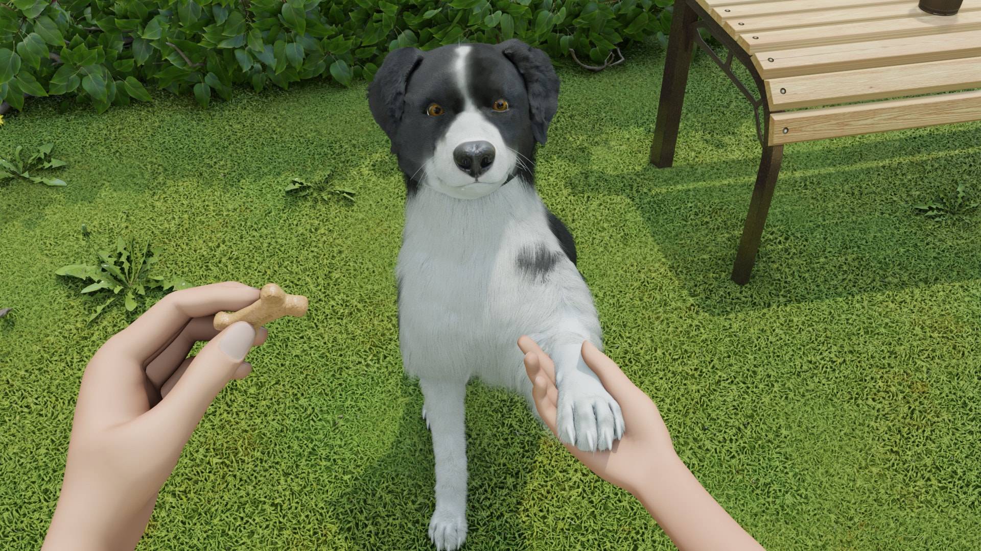фото Dog Trainer скачать торрентом от торрент игруха