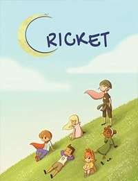Cricket Jae's Really Peculiar Game