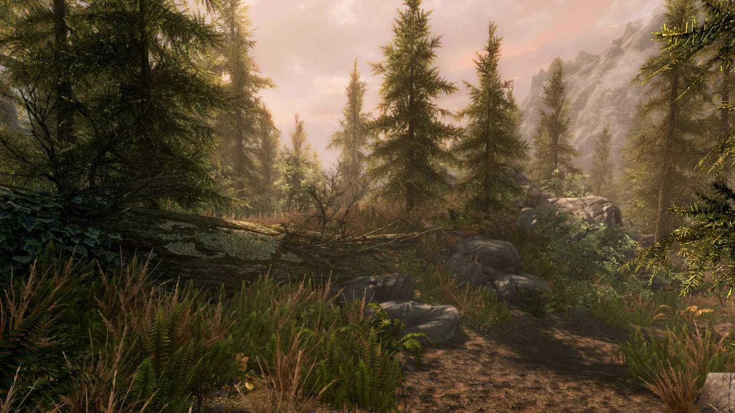фото The Elder Scrolls 5 Skyrim Special Edition + Legendary Edition скачать торрентом от торрент игруха