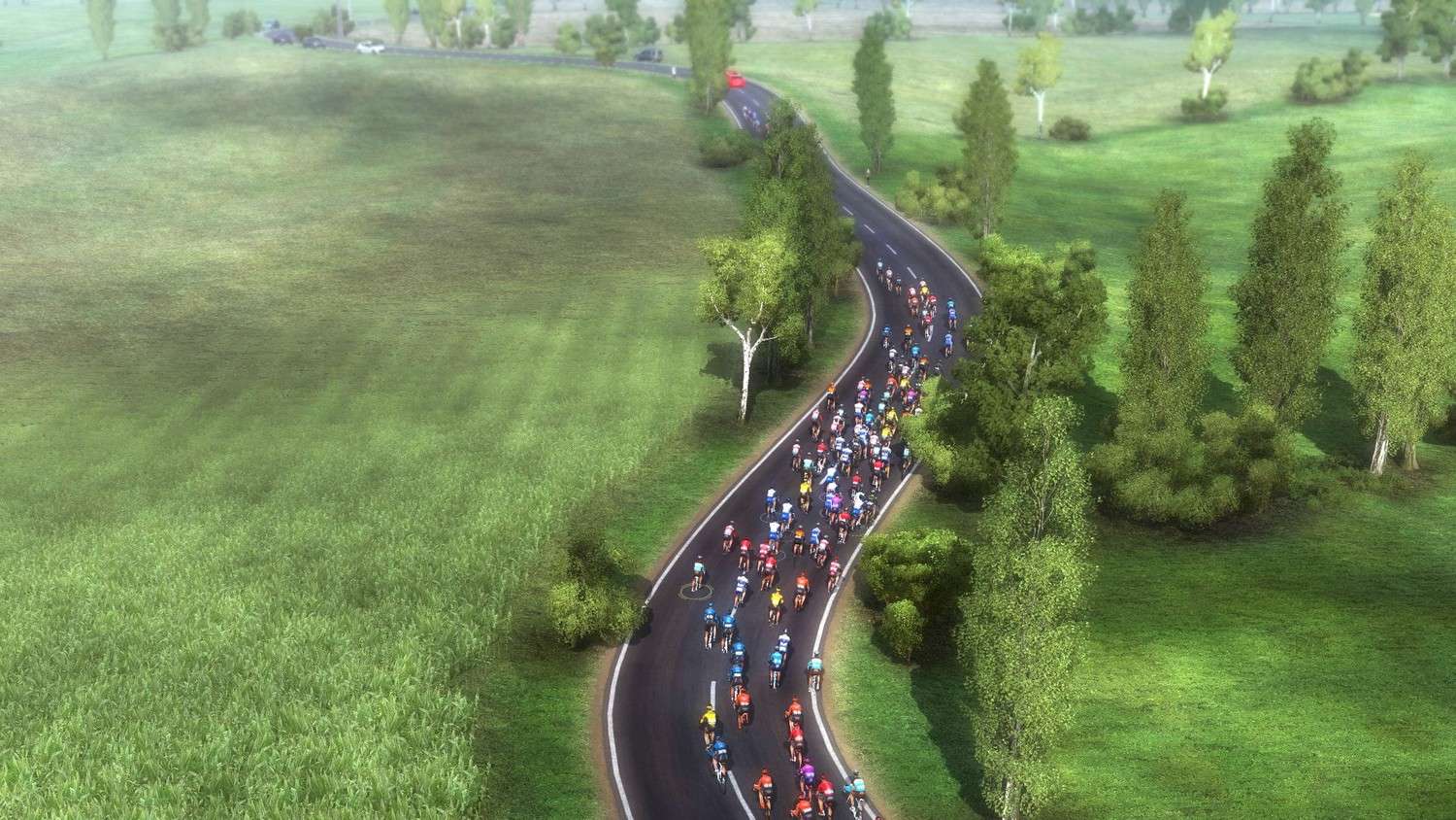 скриншоты Pro Cycling Manager 2020 от торрент игрухи
