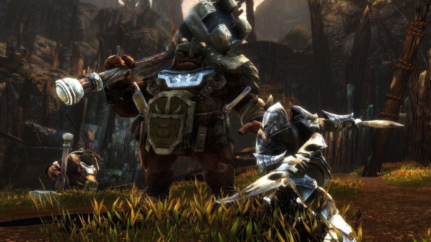 скриншоты Kingdoms of Amalur Re-Reckoning от торрент игрухи