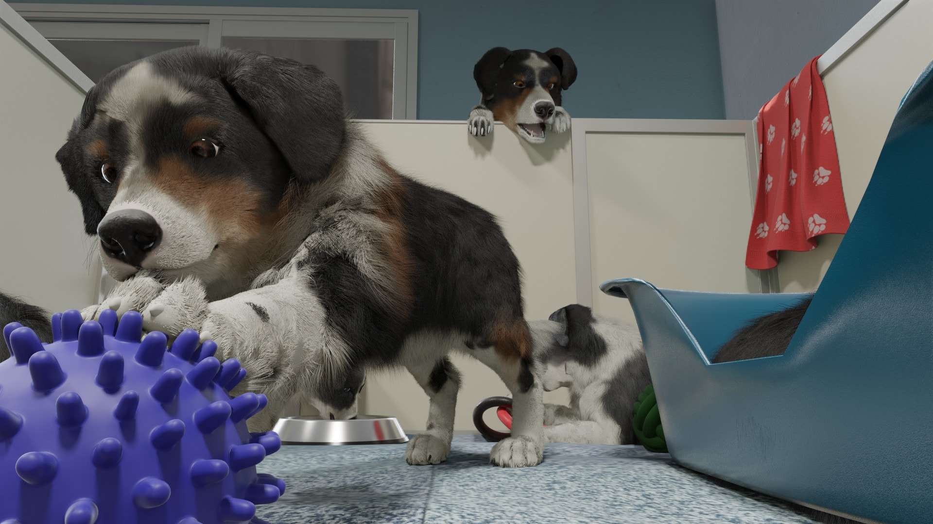 Dog Trainer скачать от Торрент Игрухи