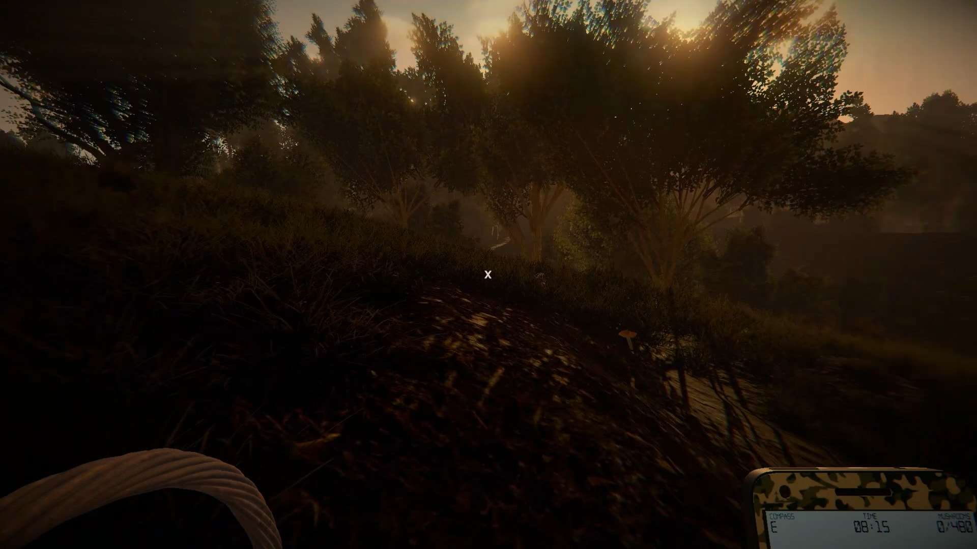 Mushrooms: Forest Walker скачать от Торрент Игрухи