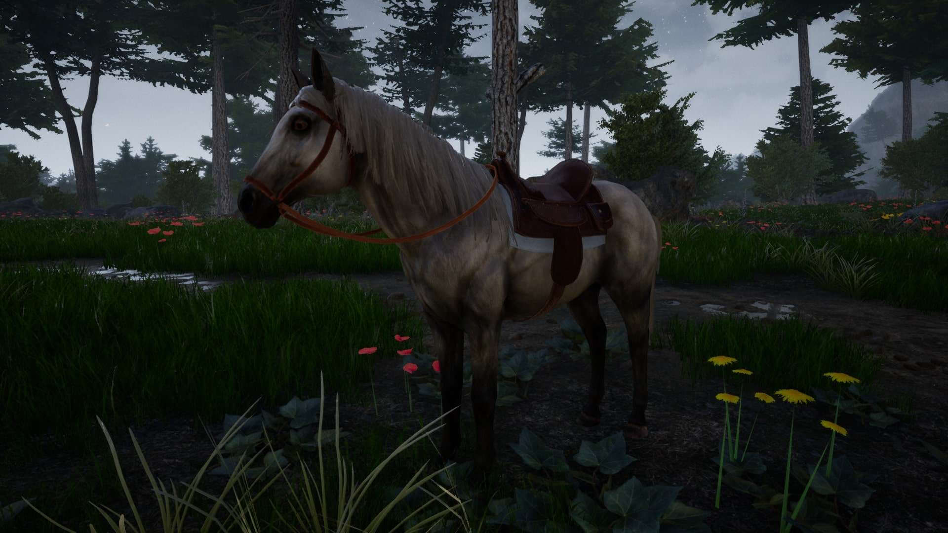 Horse Riding Deluxe 2 скачать от Торрент Игрухи