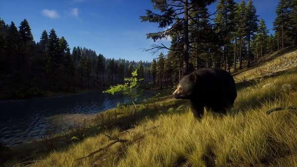 Way of the Hunter скачать от Торрент Игрухи