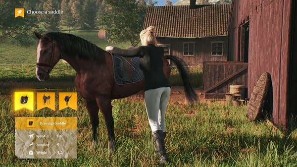 скриншоты My Horse: Bonded Spirits от торрент игрухи