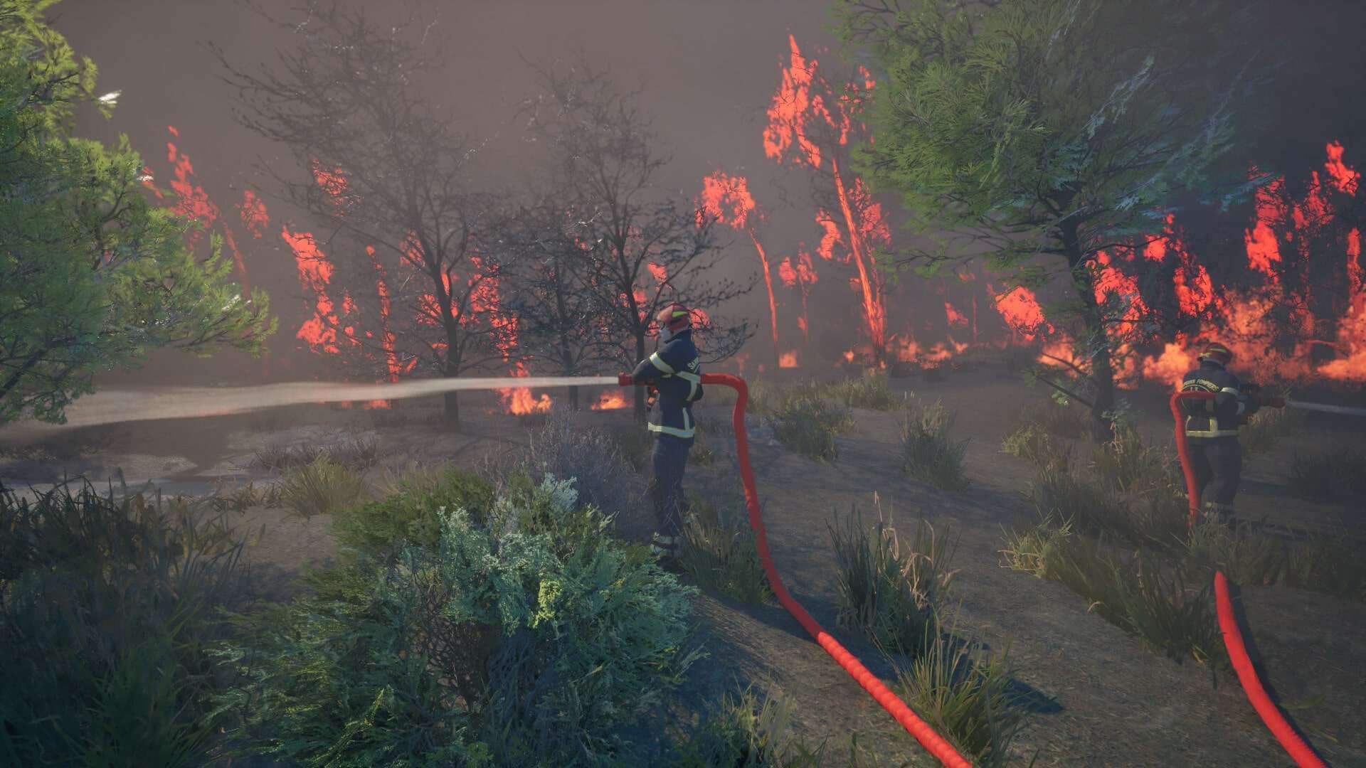 скриншоты Rescue Ops: Wildfire от торрент игрухи