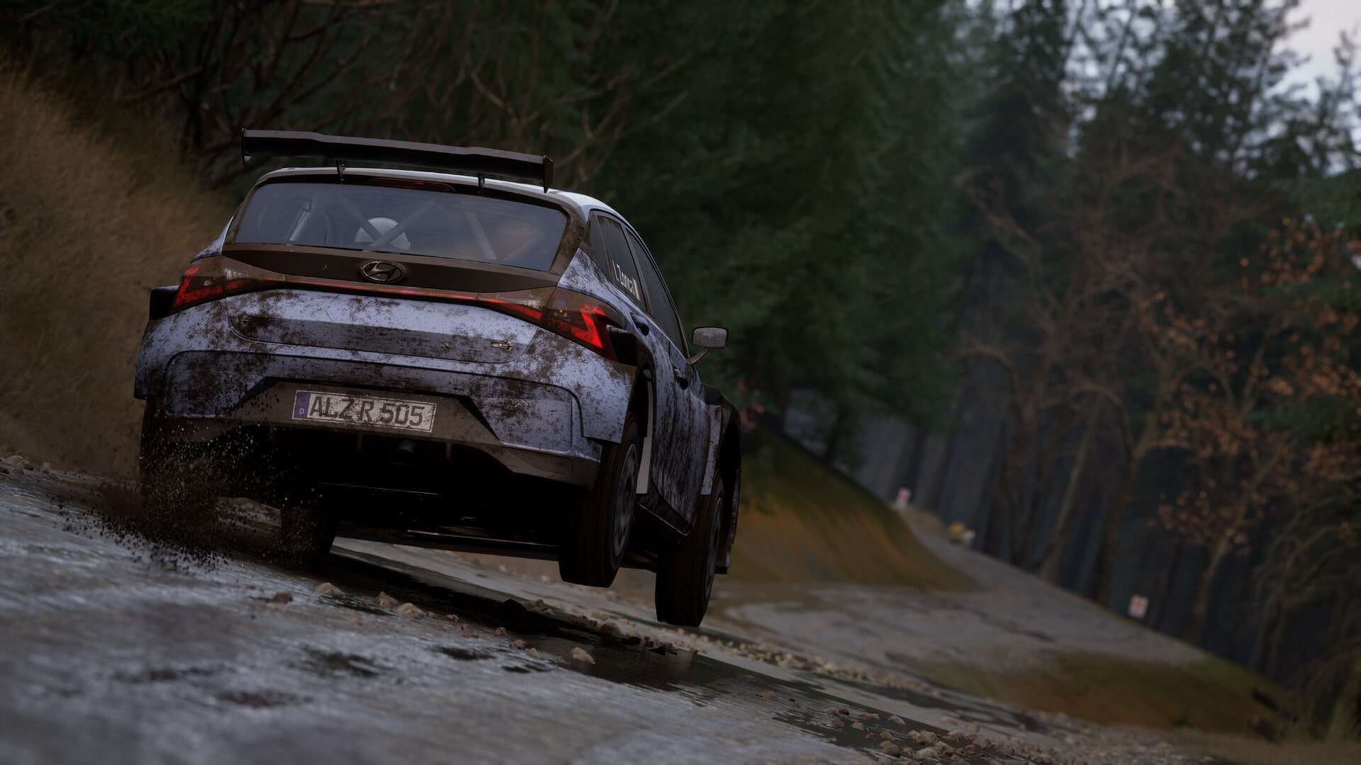 фото Assetto Corsa Rally скачать торрентом от торрент игруха