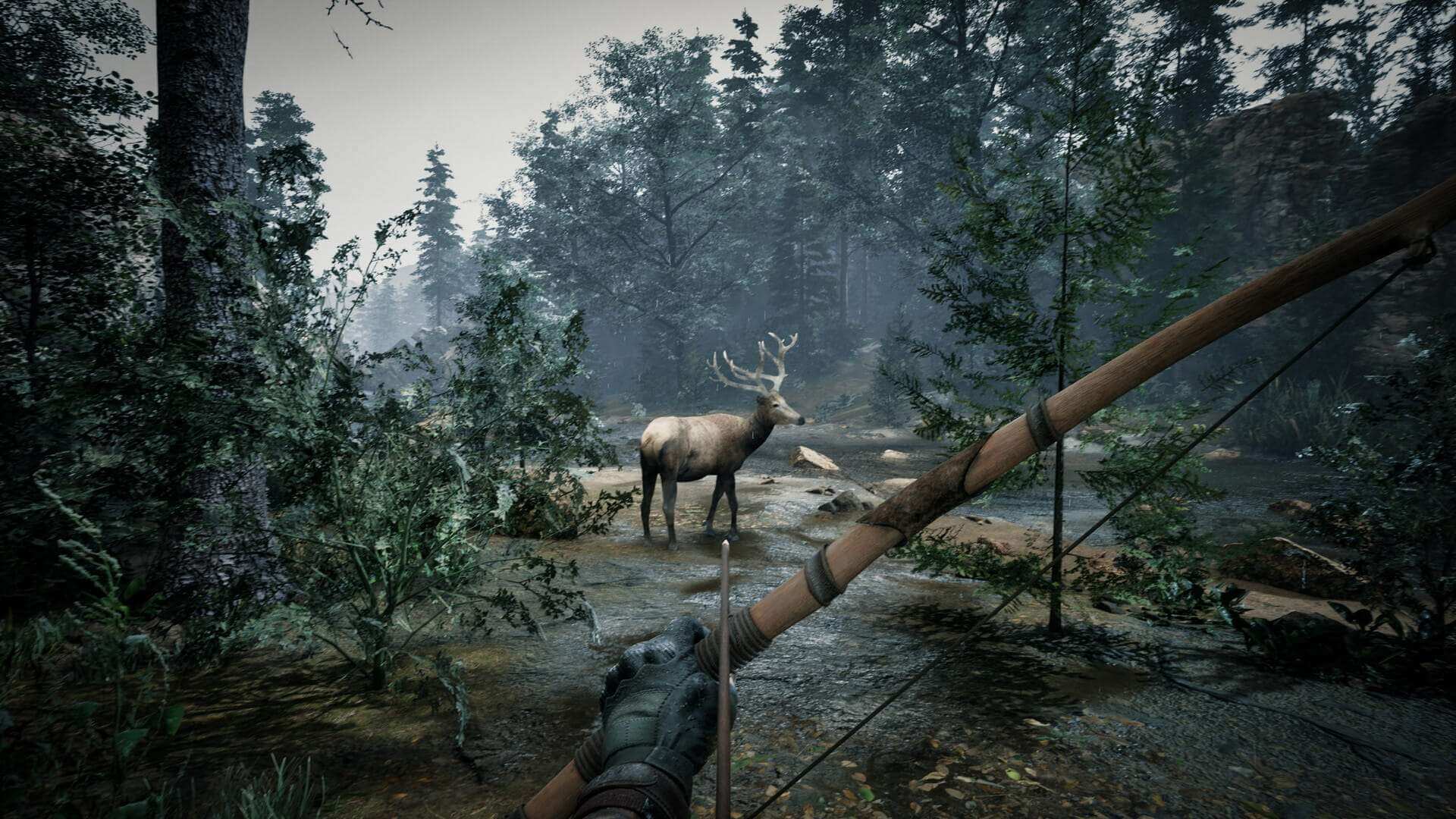 скриншоты EXPEDITION : THE CULT от торрент игрухи